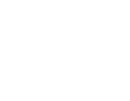 DougFlutie-logo